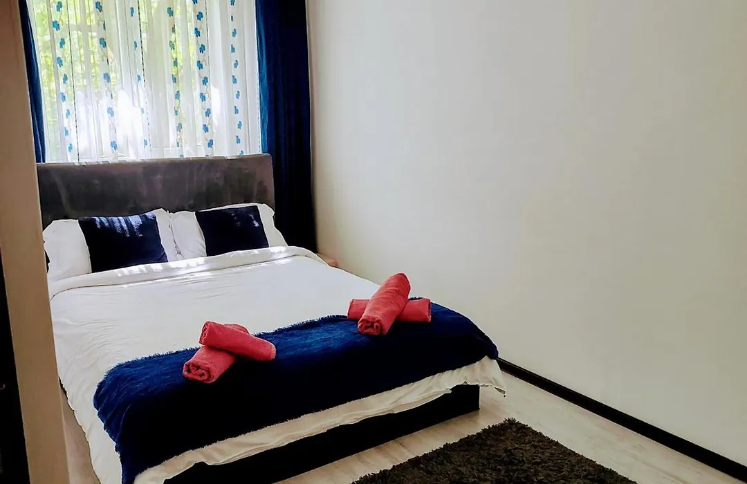 Vlad Apartament Astra-1